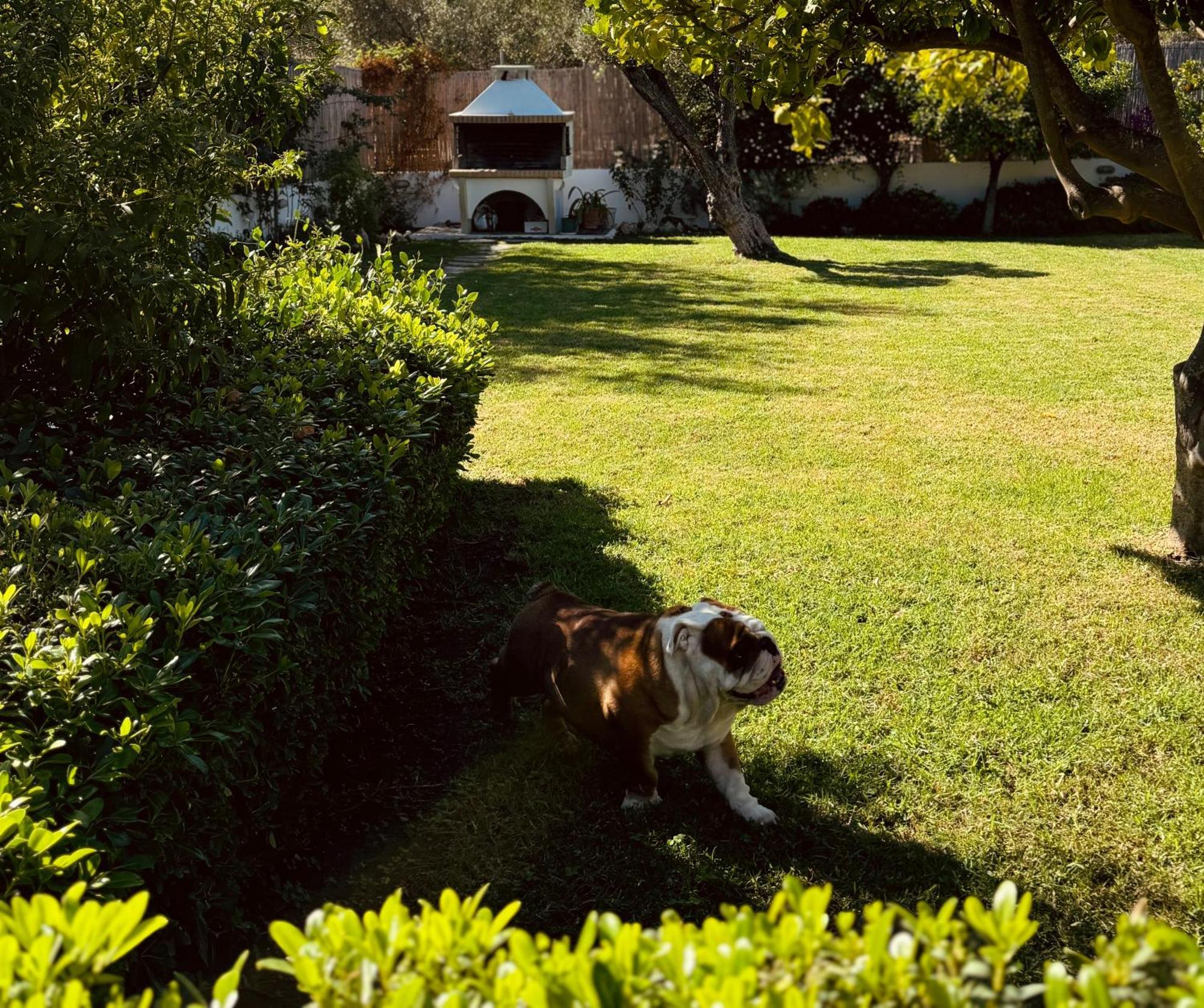 Archangelos Garden House Zewnętrze zdjęcie